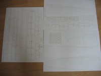 GIUSEPPE GARIBALDI - wręgi laser