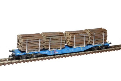 sdv12123.jpg
