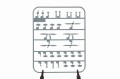 edu82185i.jpg