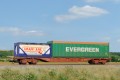 sdv12135e.jpg