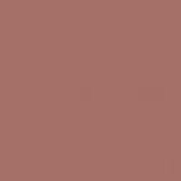 Pactra A051 matt rust - farba akrylowa 10ml