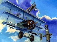 Fokker F.I 1:72 / Roden 017