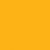 Pactra A027 insignia yellow - farba akrylowa 10 ml