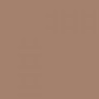 Pactra A024 matt dark tan - farba akrylowa 10ml