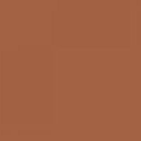 Pactra A017 gloss wood tan farba akrylowa 10ml